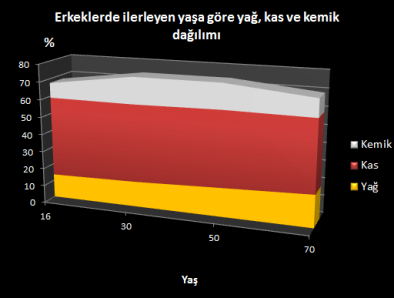 Erkeklerde yaşa göre vücut içeriği