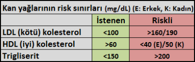 Kan yağları ve kolesterolün normal değerleri ve risk sınırı