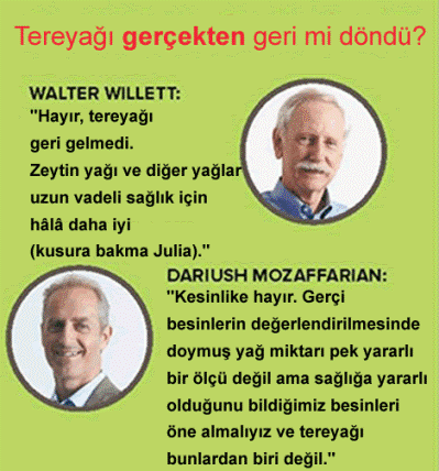 Walter Willet, Mozaffarian Dariush