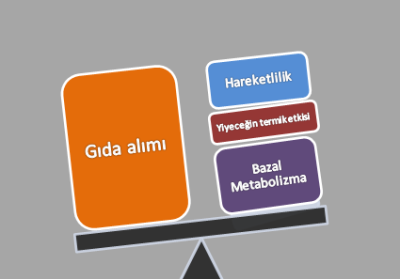 Enerji yasaları zayıflama için de geçerlidir