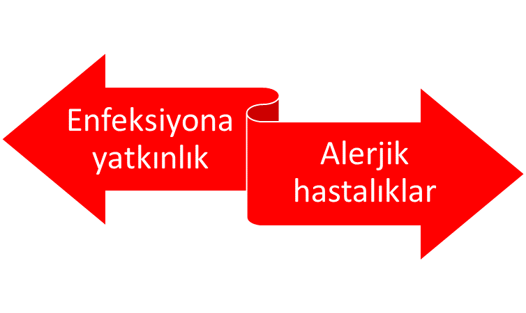 Bağışıklıkğın kararında olmasında floranın payı büyüktür